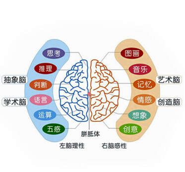 金陽光美術書法培訓加盟