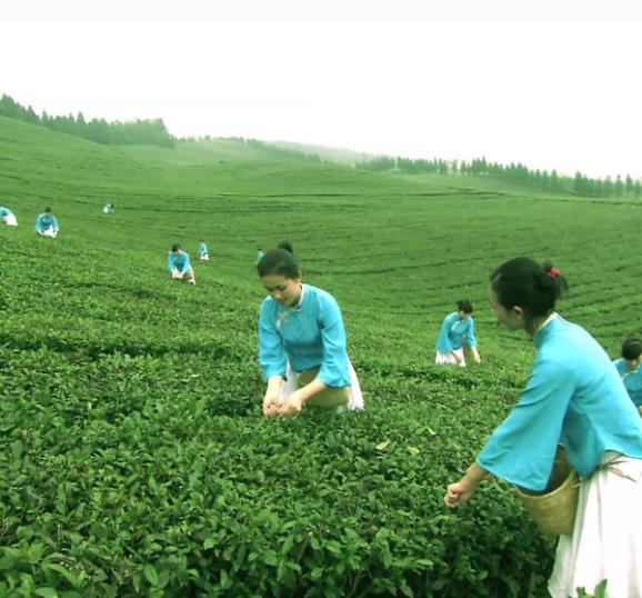 老順興茶館加盟