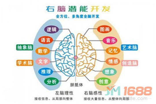 覺醒全腦教育加盟-1688加盟網(wǎng)