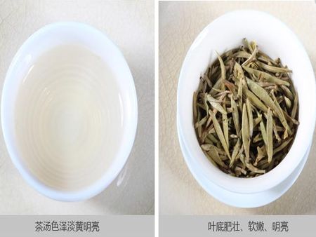 湘益茯茶加盟