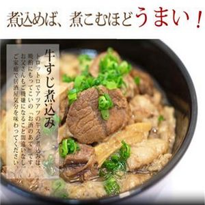 嶺峰牌日本風味菜加盟