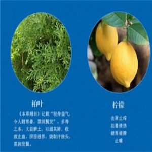 青絲俏植物養(yǎng)發(fā)加盟