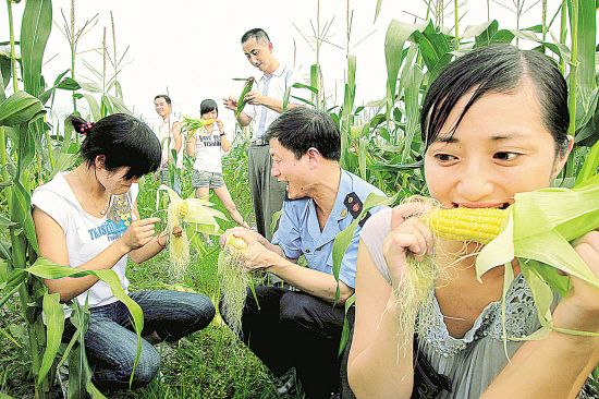 水果玉米加盟