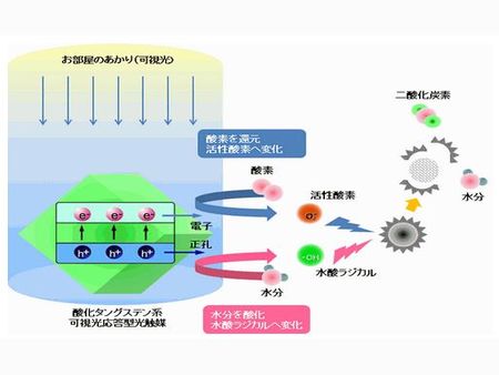 新凈界除甲醛加盟