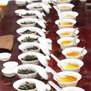 麻姑生態(tài)茶加盟