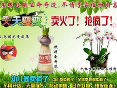 天天變變啟蒙教材加盟