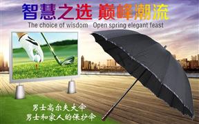 雨中鳥加盟