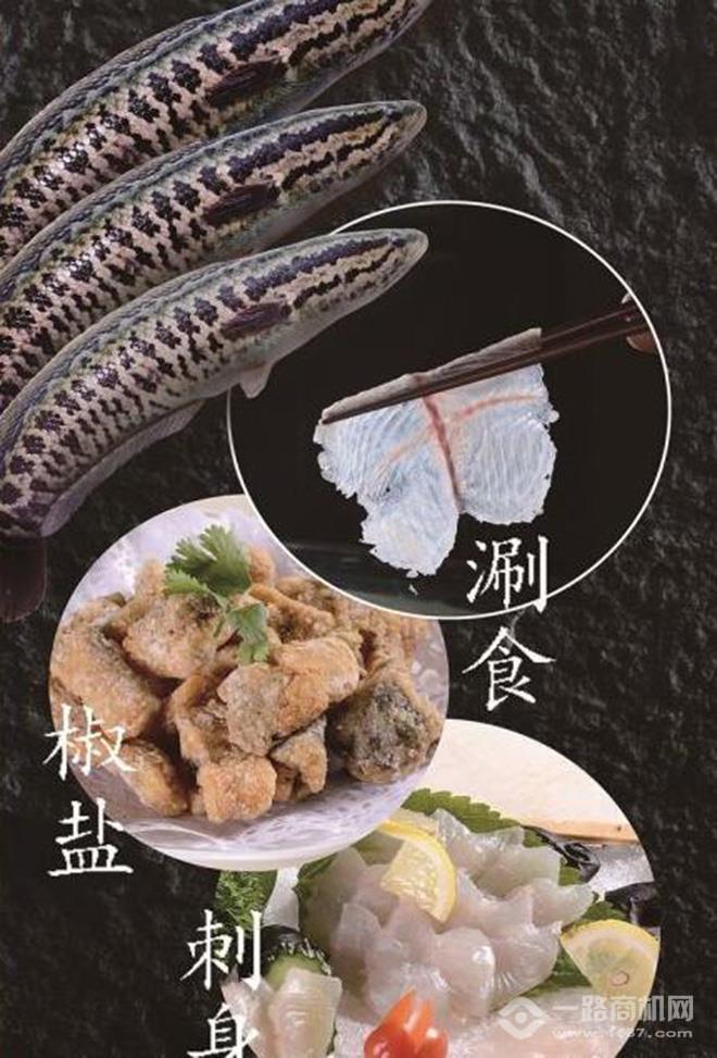 魚(yú)躍印象斑魚(yú)重慶老火鍋加盟