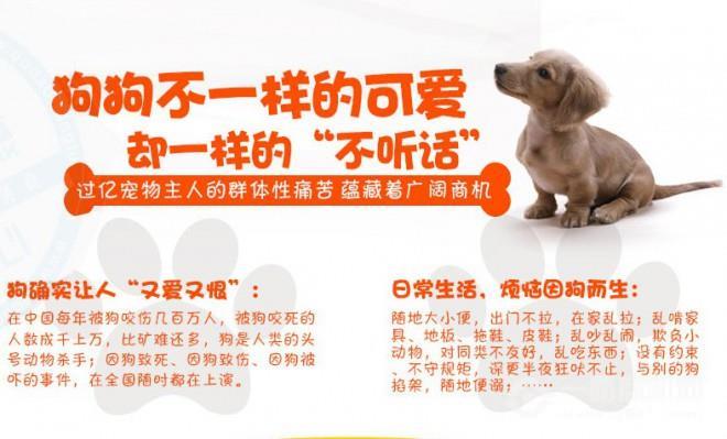 犬語者寵物訓(xùn)導(dǎo)館加盟